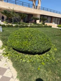 — şəkil 5