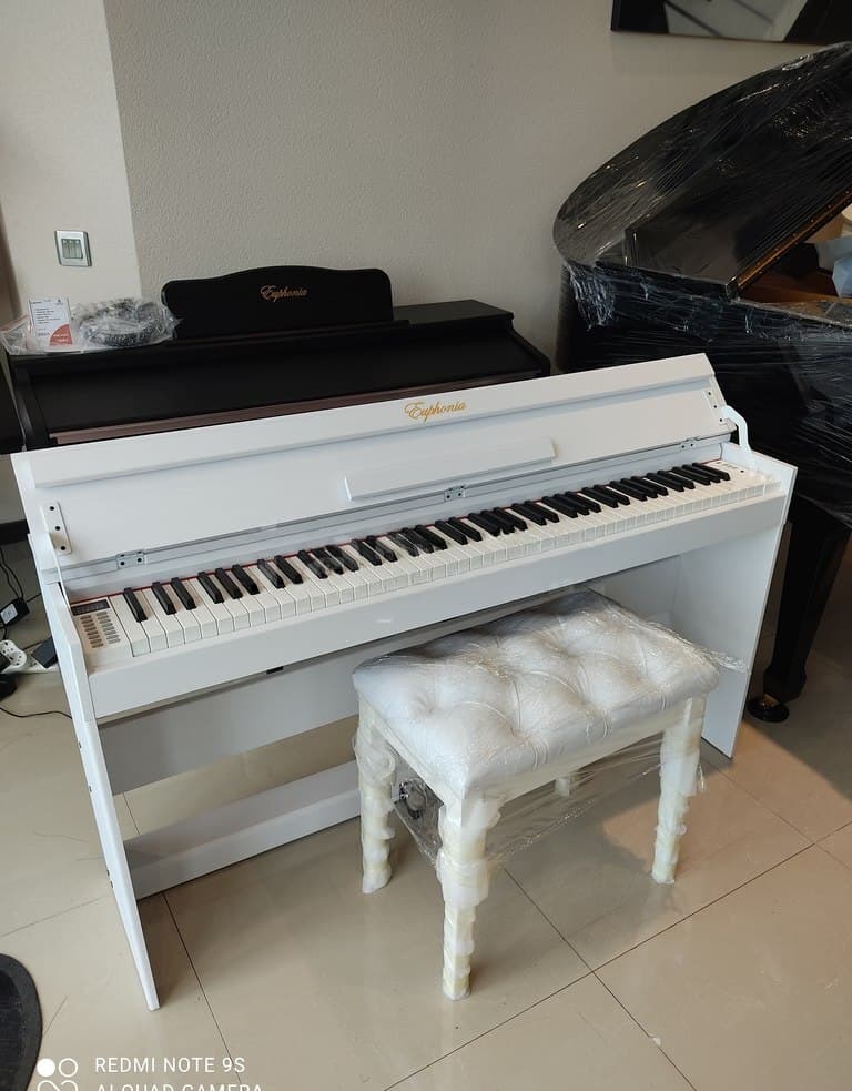 Elektron piano Euphonia SY8820