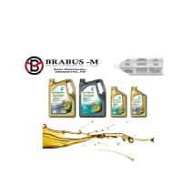 Mühərrik yağı Petronas — şəkil 1