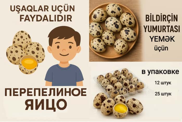 Yumurta bildirçin - Tenderyard