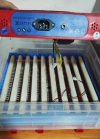 Professional Avtomat İnkubatorlar (Müxtəlif tutumlu) — şəkil 4