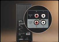 Sabvufer Edifier T5S 70W 8 inch — şəkil 5