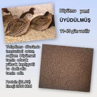Kənd təsərrüfatı heyvanları üçün proteinli yemlər — şəkil 4