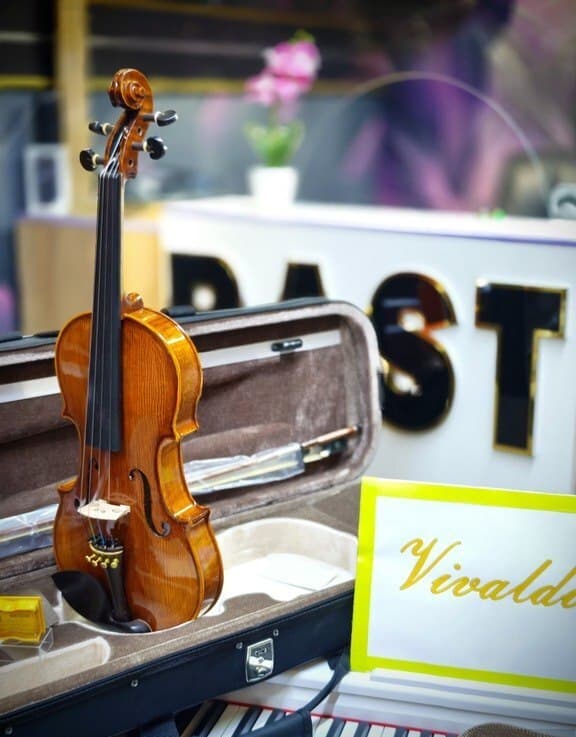 Skripka Vivaldi HV-5001