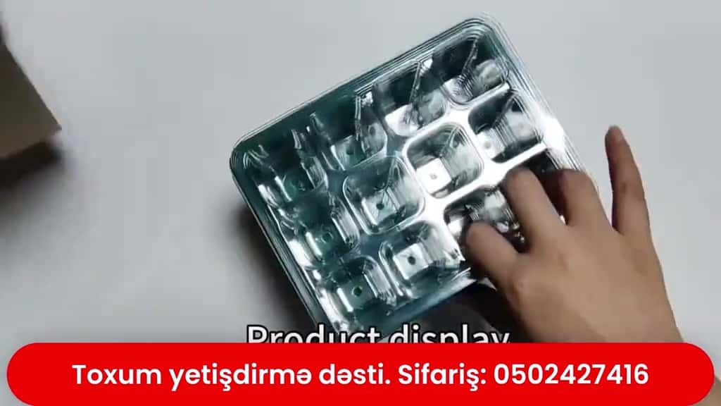 Toxum yetişdirmə dəsti - Tenderyard