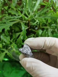 Qızılı rəng təbii daşların Satışı — şəkil 3