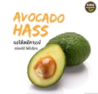 Avokado Hass və digər növlər — şəkil 3