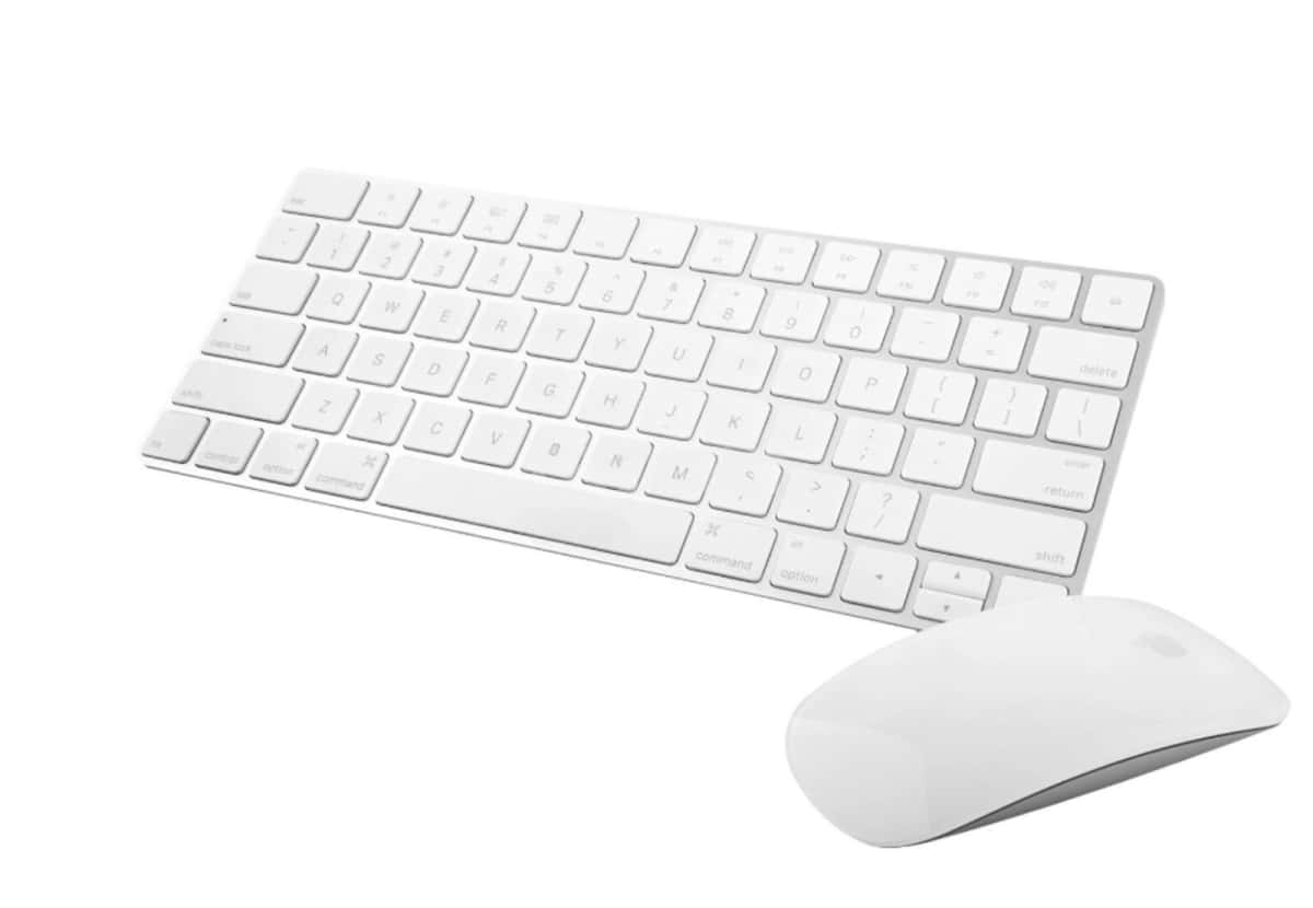 Apple computer mouse - Tenderyard