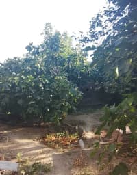 4 otaqlı həyət evi 165 m² satılır Bakı, Sabunçu r. — şəkil 2