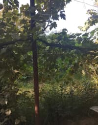 4 otaqlı həyət evi 165 m² satılır Bakı, Sabunçu r. — şəkil 26