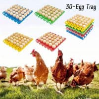Yumurta üçün qablaşdırma kaseti və altlıqları — şəkil 7