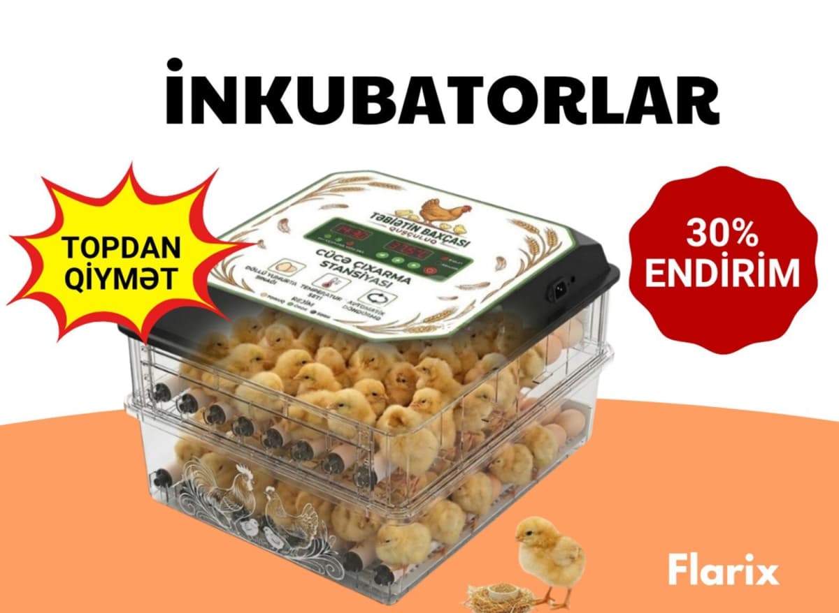 İnkubator avtomatik cücəçıxarma aparatı