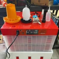 Avtomatik Universal İnkubator (36-256 yumurta tutumlu) — şəkil 1