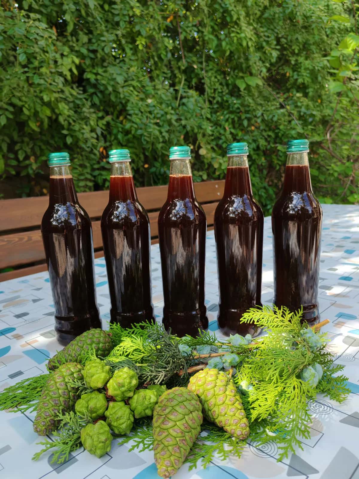 Natural Pine Cone Molasses - Tenderyard