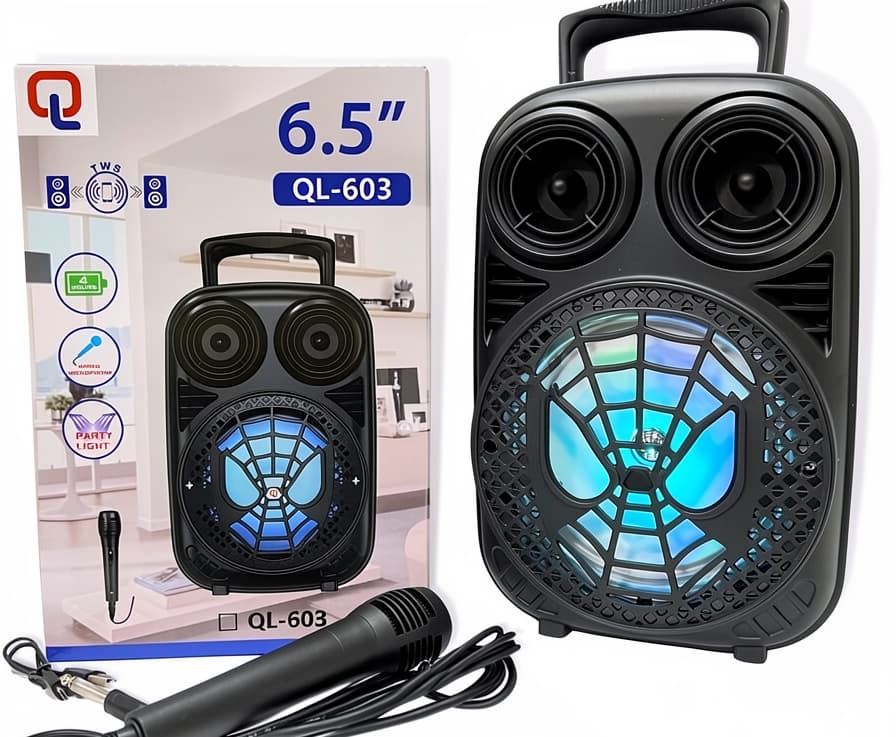 QL-603 Karaoke Səsucaldan və Səs Gücləndirici