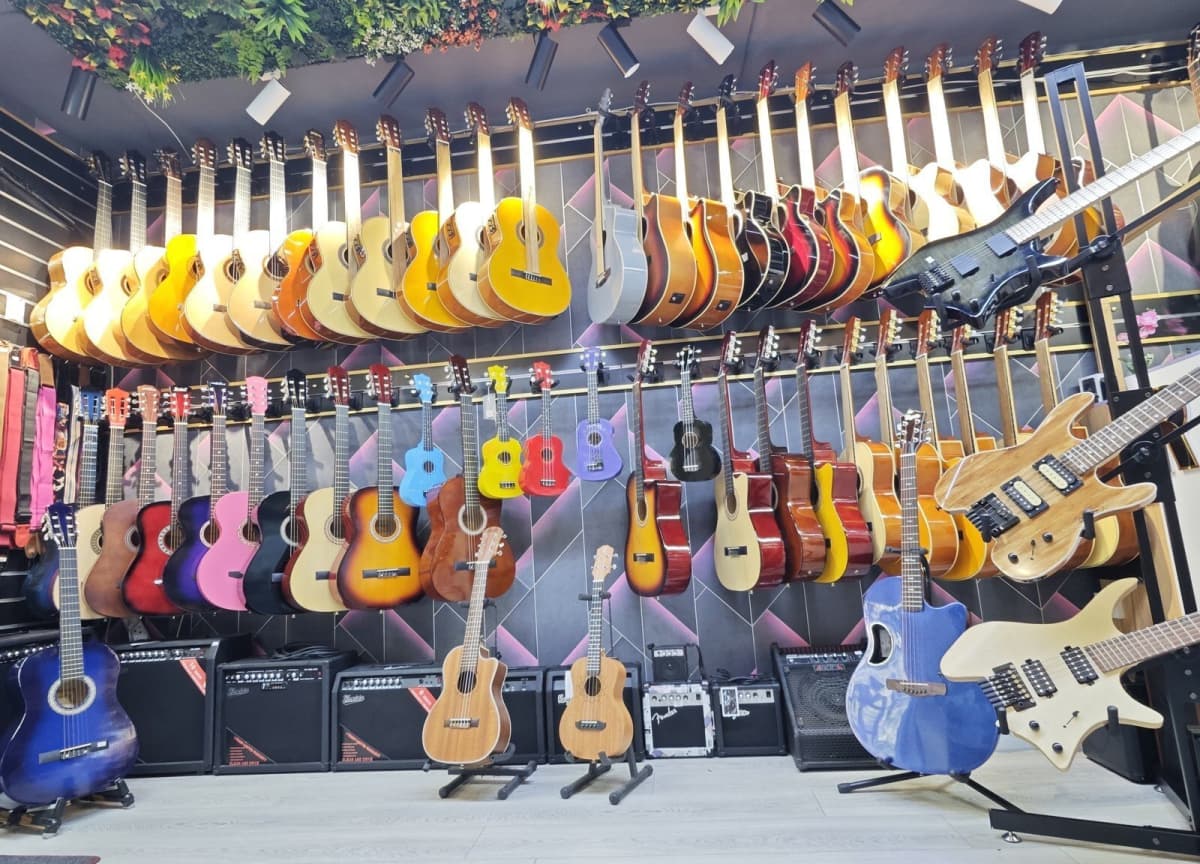 Akustik gitara , 6 simli