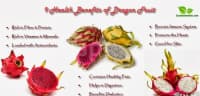 Əjdaha Meyvəsi (Pitaya) — şəkil 5