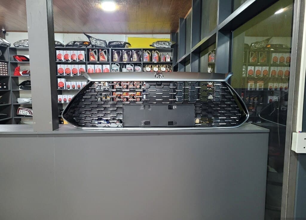 Radiator barmaqlığı BYD Qin Plus