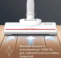 Tefal Tozsoran — şəkil 4