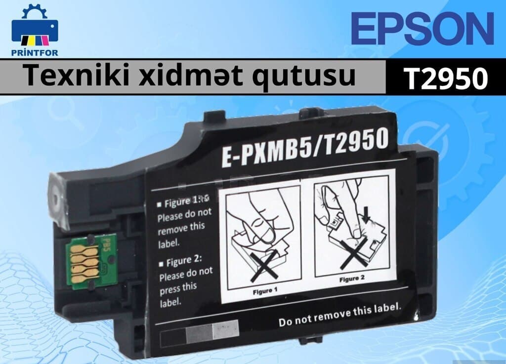 Epson T2950 / PXMB5 Texniki Xidmət Qutusu