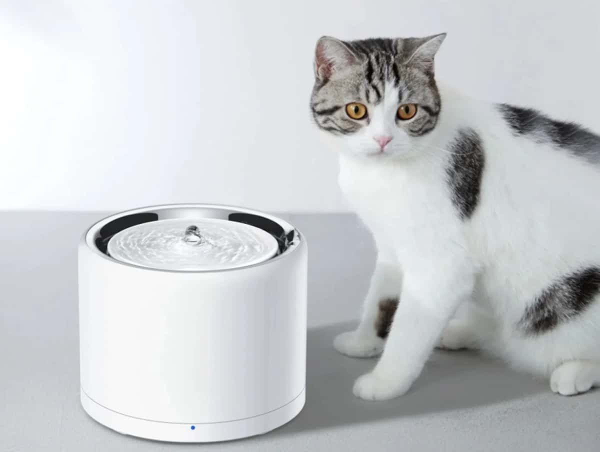 Petkit Eversweet 3 Pro Wireless (P4108) Smart Water Fountain - Tenderyard