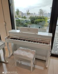 Elektron pianino Euphonia SY8803W — şəkil 1