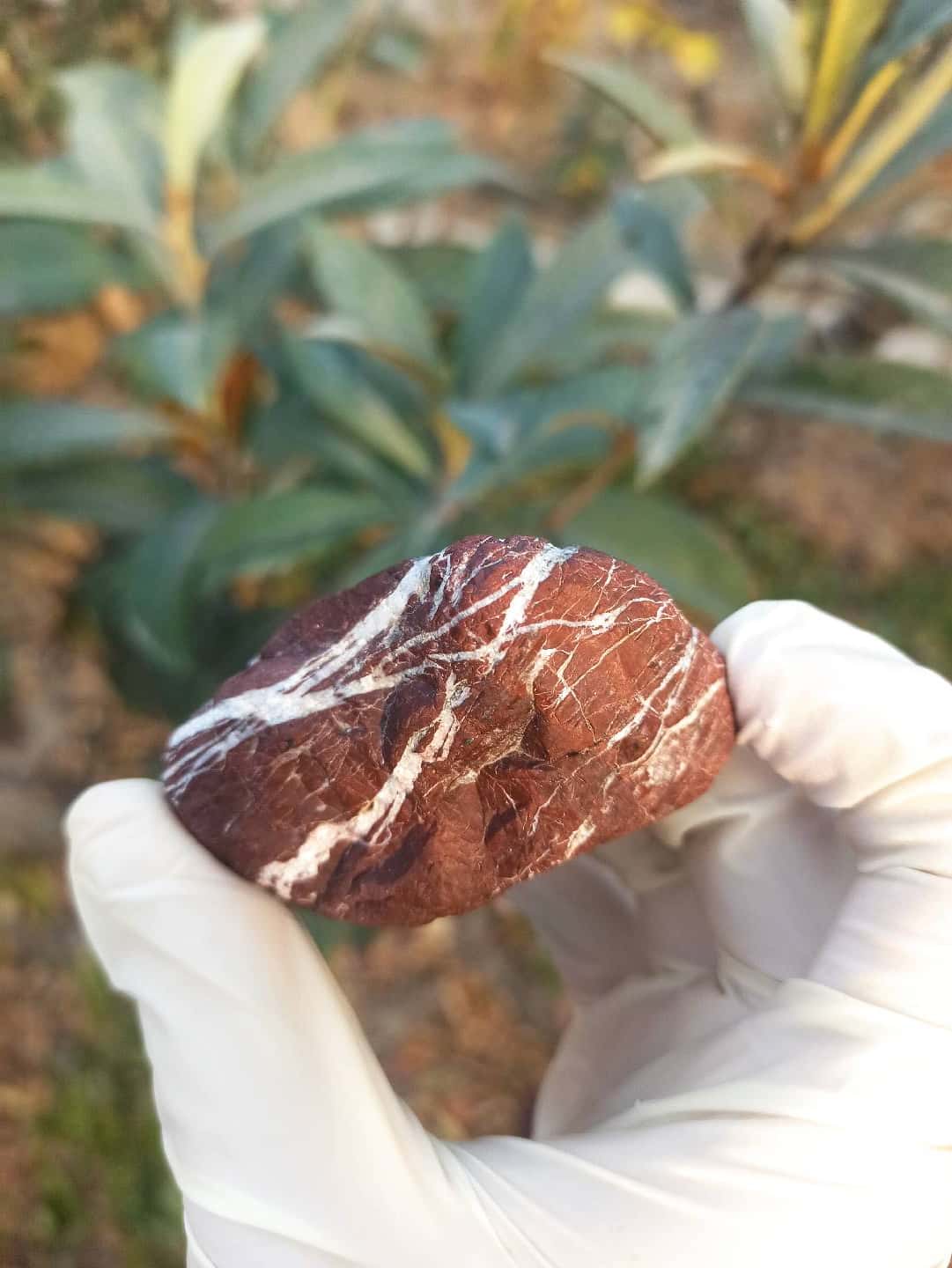 Natural JASPER Stone 💎😍 - Tenderyard