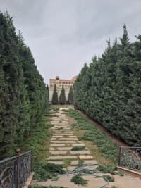 — şəkil 28