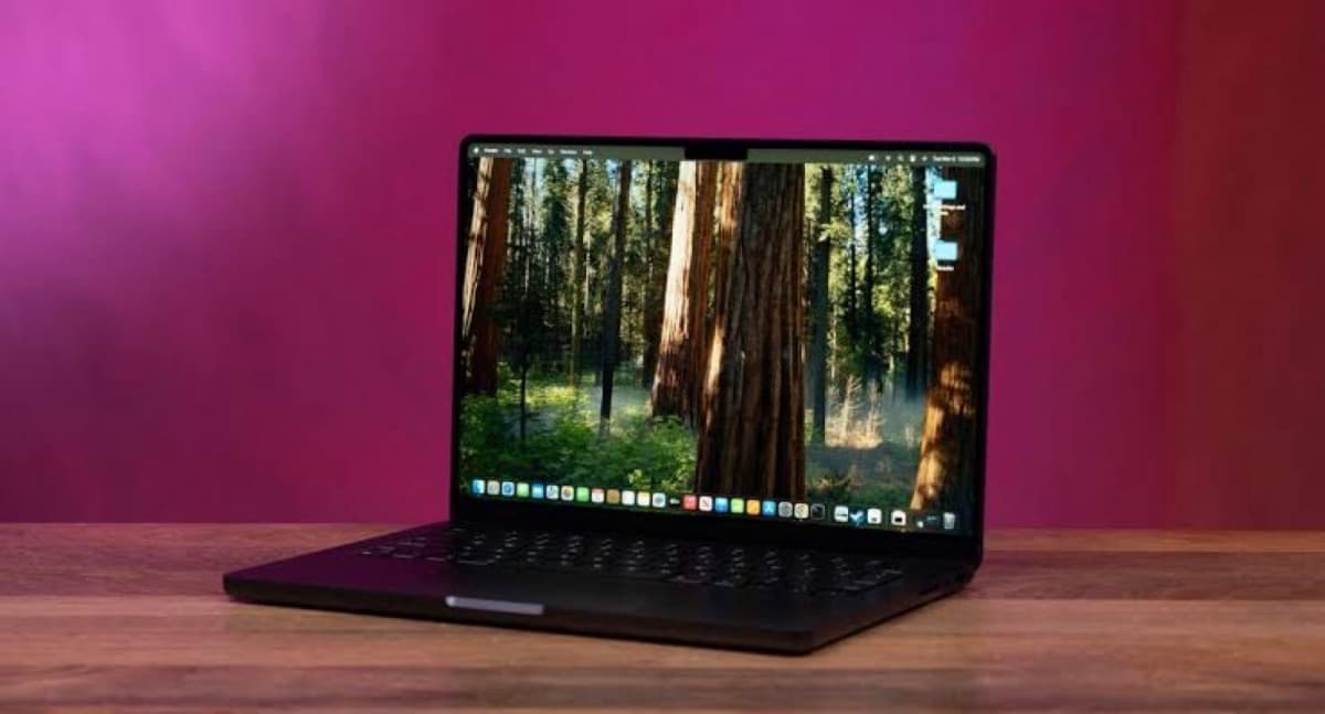 Apple markalı notbuk, Boz rəng