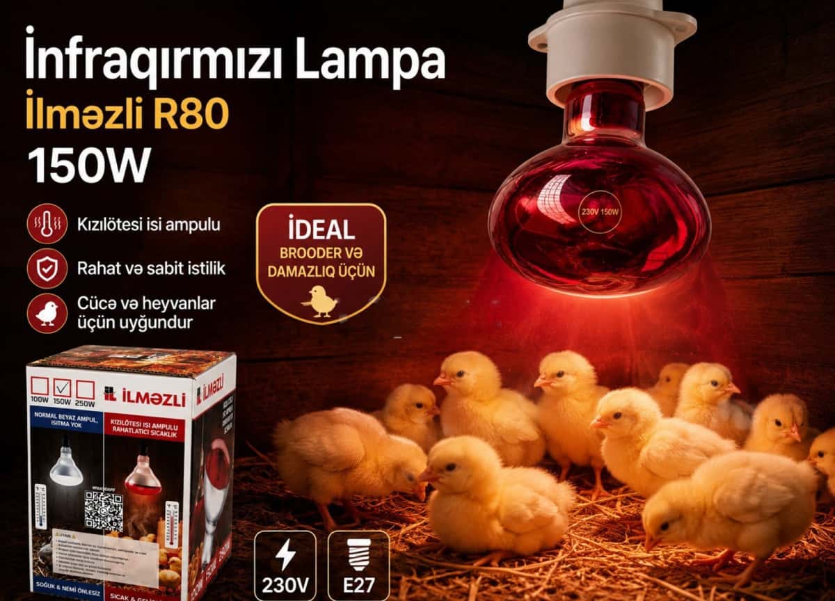 Инфракрасная лампа Ilmezli R80 150W - Tenderyard
