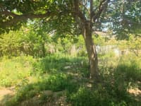4 otaqlı həyət evi 200 m² satılır — şəkil 16