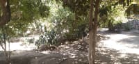 3 otaqlı həyət evi 54 m² satılır — şəkil 2