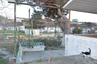 15 sot torpaq sahəsi satılır — şəkil 13