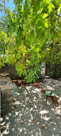 3 otaqlı həyət evi 100 m² satılır — şəkil 3