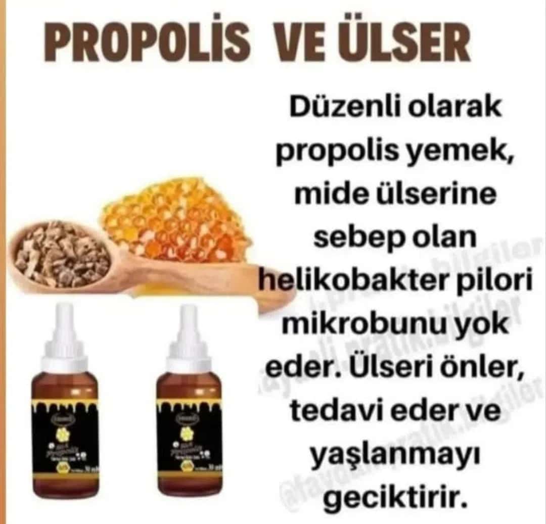 Propolis ekstraktı damcı - Tenderyard