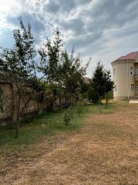 8 otaqlı həyət evi 280 m² satılır İsmayıllı — şəkil 21