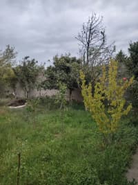 15 sot torpaq sahəsi satılır — şəkil 6