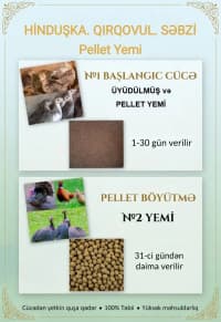 Kənd təsərrüfatı heyvanları üçün proteinli yemlər — şəkil 6