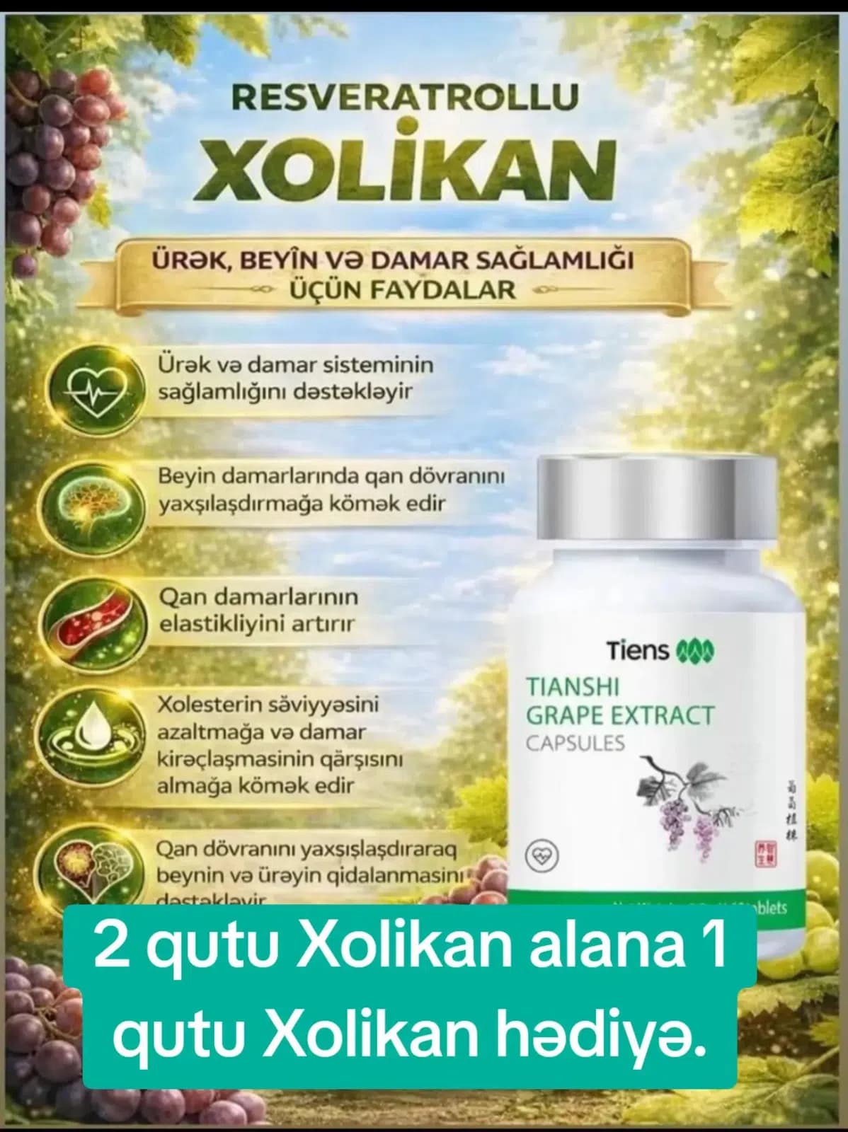 Tiens Xolikan Resveratrol kapsulları
