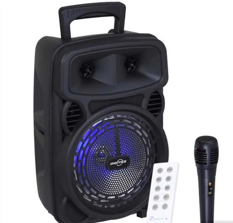 GreatNice Karaoke Speaker and Microphone Set - Tenderyard