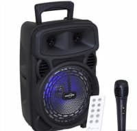 GreatNice Karaoke Dinamik və Mikrofon Dəsti — şəkil 1