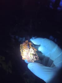 Opal + Kalsit + Kvarsit — şəkil 9