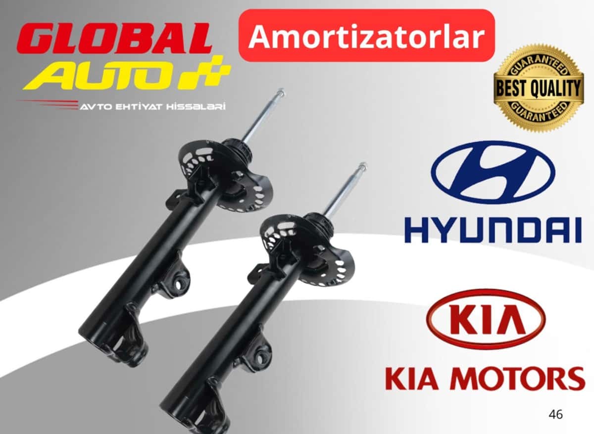 Amortizator Hyundai və Kia modelləri üçün - Tenderyard