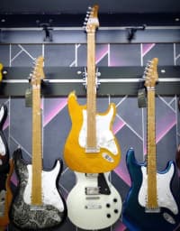 Elektrik gitara, 6 simli — şəkil 7