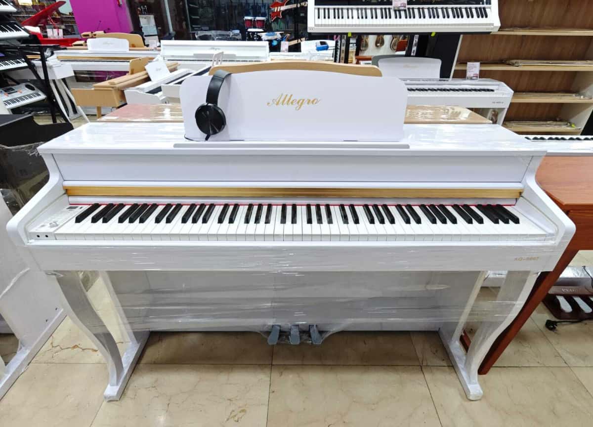 Electronic piano Allegro 8807 - Tenderyard