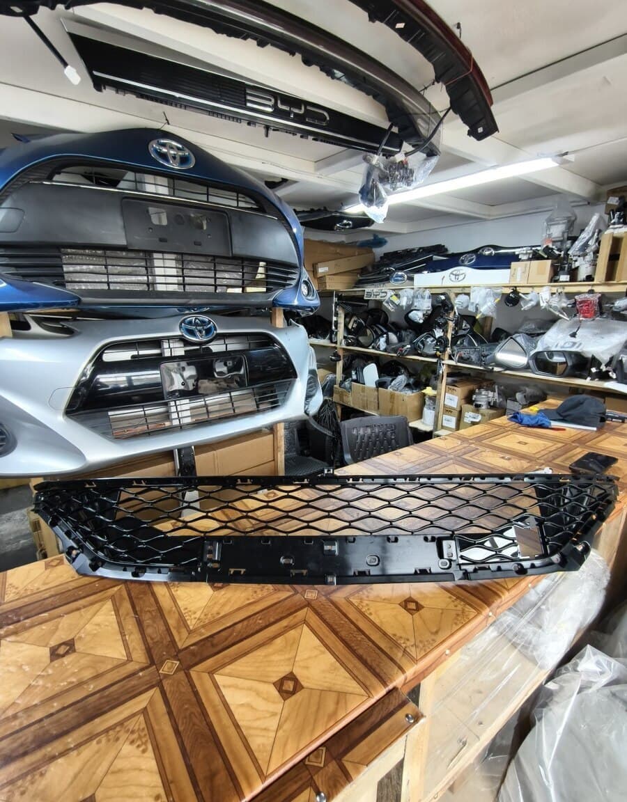 Alt radiator barmaqlığı BYD Seal 05