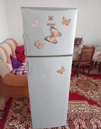 Indesit soyuducu — şəkil 1