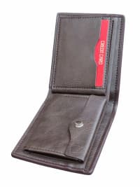 Kişi pulqabısı, Qəhvəyi rəng — şəkil 4
