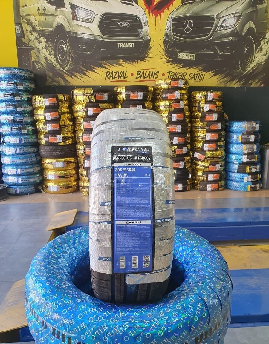 Avtomobil şini Fortune 205/55 R16