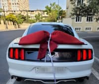 Kirayə avtomobil Ford Mustang 2016 — şəkil 5